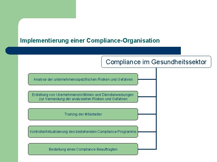 Implementierung einer Compliance-Organisation Compliance im Gesundheitssektor Analyse der unternehmensspezifischen Risiken und Gefahren Erstellung von
