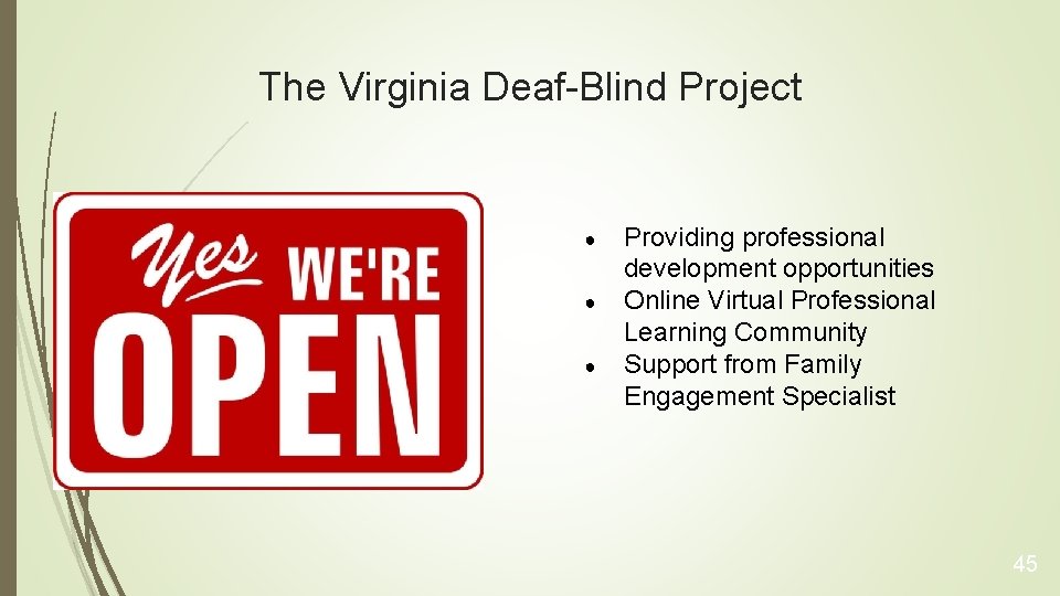 The Virginia Deaf-Blind Project ● ● ● Providing professional development opportunities Online Virtual Professional