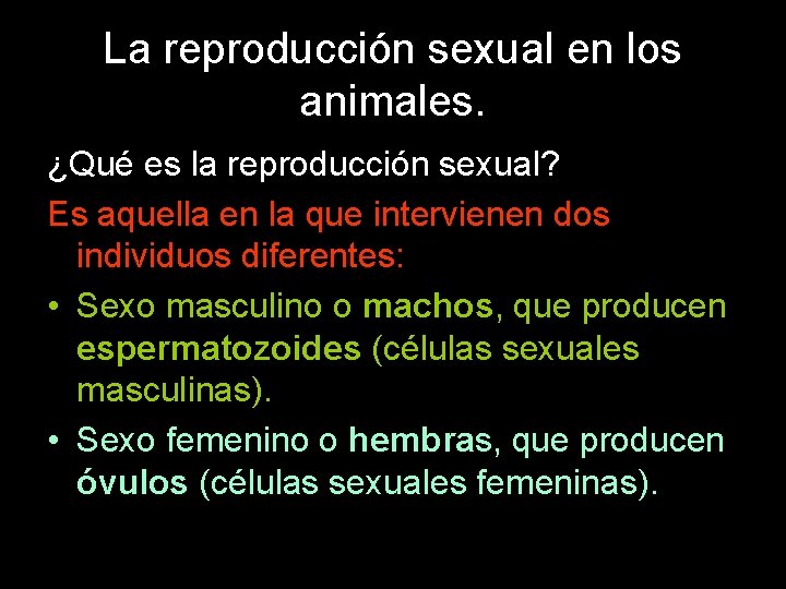 La reproducción sexual en los animales. ¿Qué es la reproducción sexual? Es aquella en