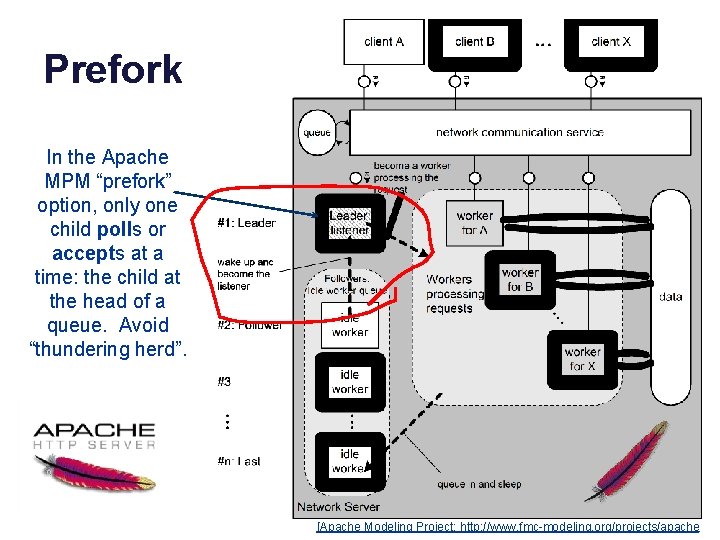 Prefork In the Apache MPM “prefork” option, only one child polls or accepts at