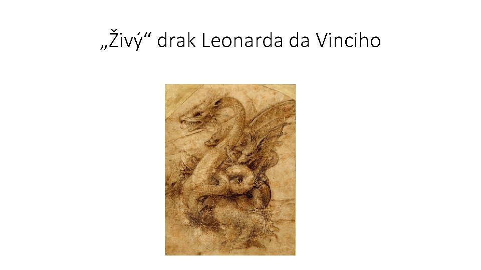 „Živý“ drak Leonarda da Vinciho 