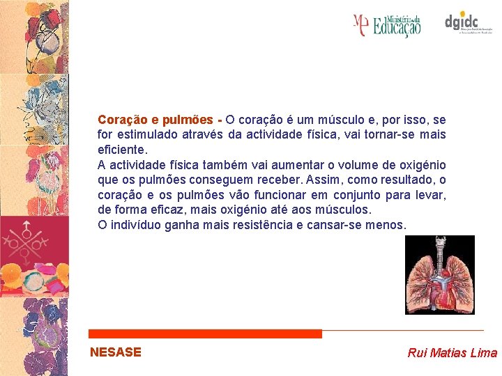 Coração e pulmões - O coração é um músculo e, por isso, se for