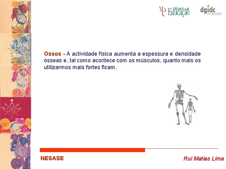 Ossos - A actividade física aumenta a espessura e densidade ósseas e, tal como