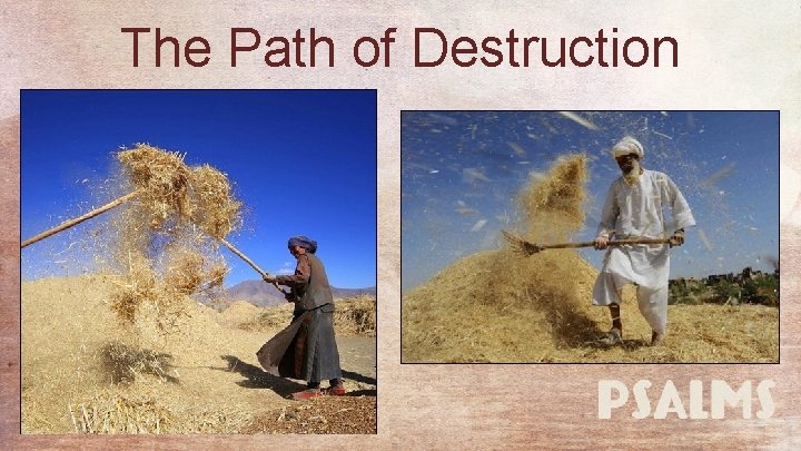 The Path of Destruction 