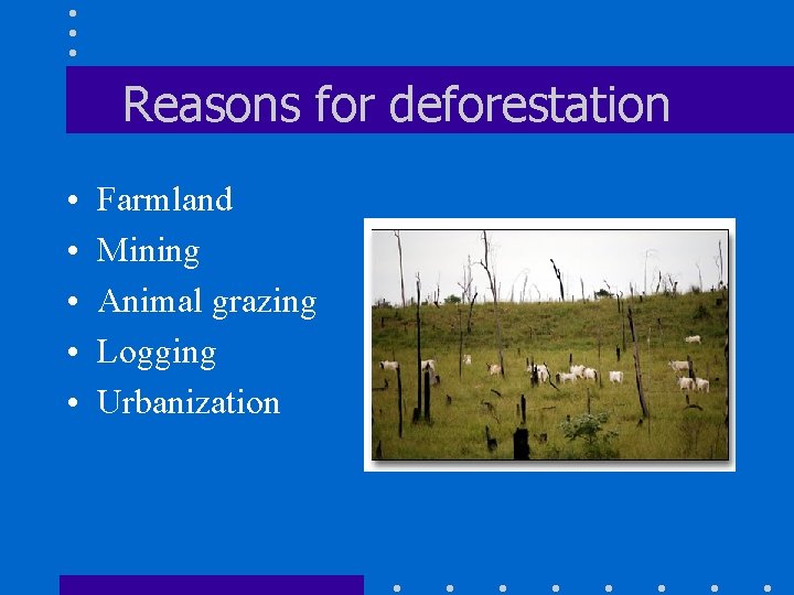 Reasons for deforestation • • • Farmland Mining Animal grazing Logging Urbanization 