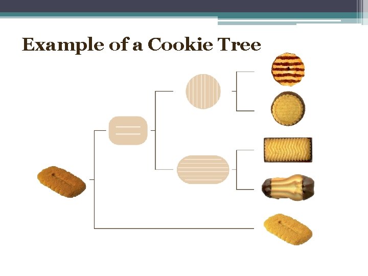 Example of a Cookie Tree 