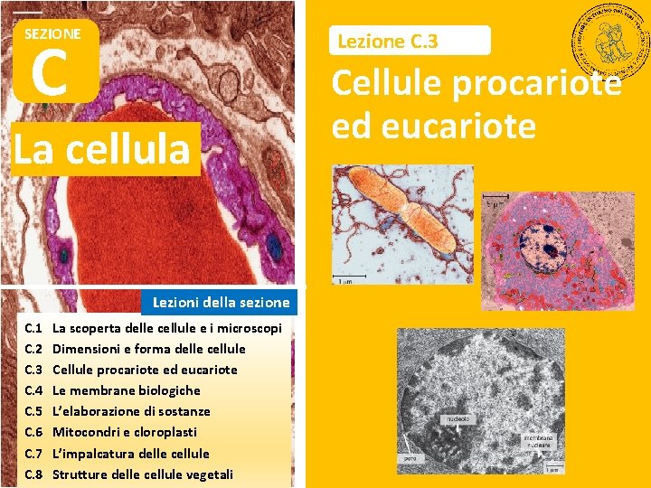 SEZIONE C Lezione C. 3 La cellula Lezioni della sezione C. 1 C. 2