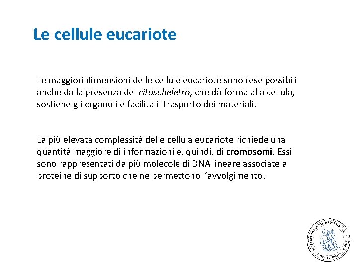 Le cellule eucariote Le maggiori dimensioni delle cellule eucariote sono rese possibili anche dalla