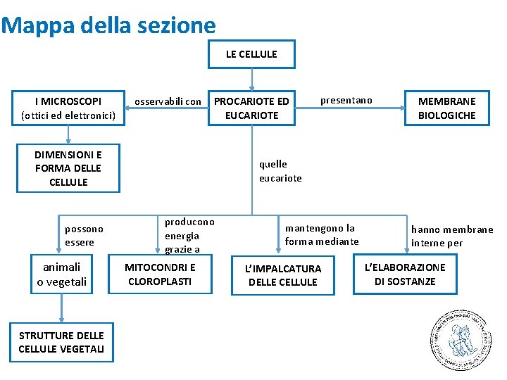 Mappa della sezione LE CELLULE I MICROSCOPI (ottici ed elettronici) osservabili con PROCARIOTE ED