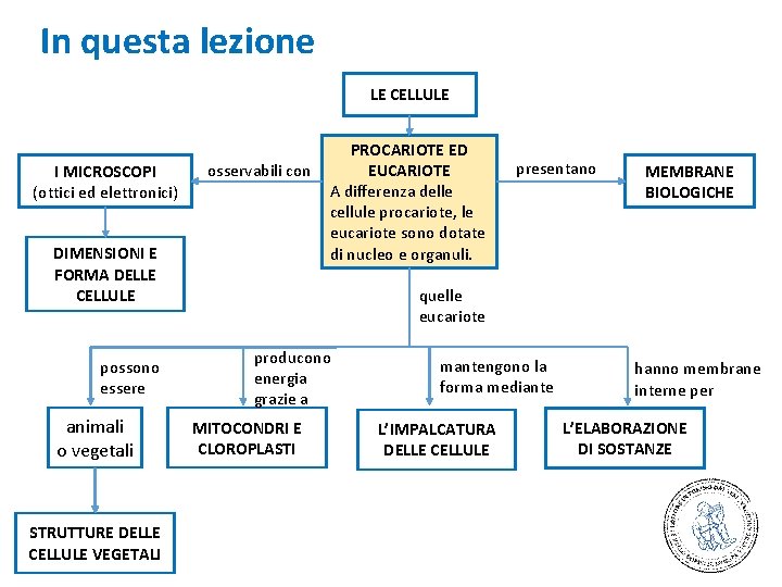 In questa lezione LE CELLULE I MICROSCOPI (ottici ed elettronici) osservabili con DIMENSIONI E