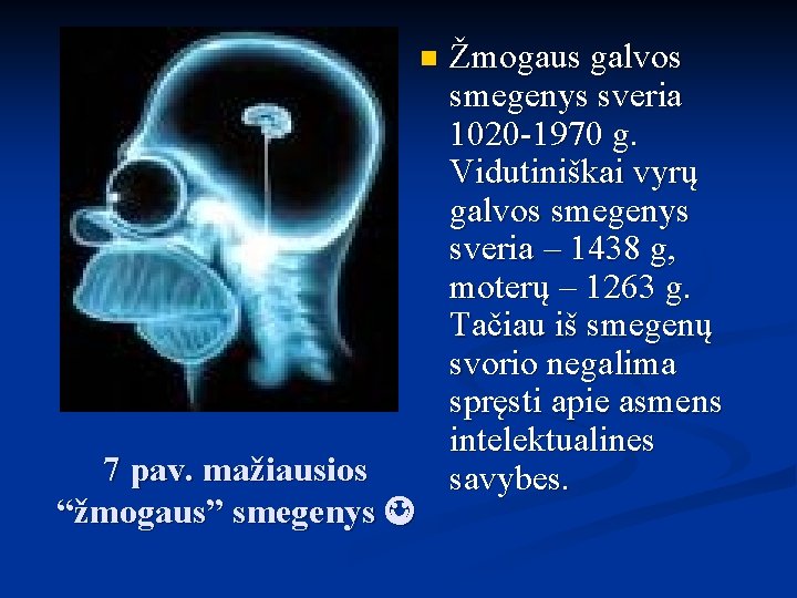 n 7 pav. mažiausios “žmogaus” smegenys Žmogaus galvos smegenys sveria 1020 -1970 g. Vidutiniškai