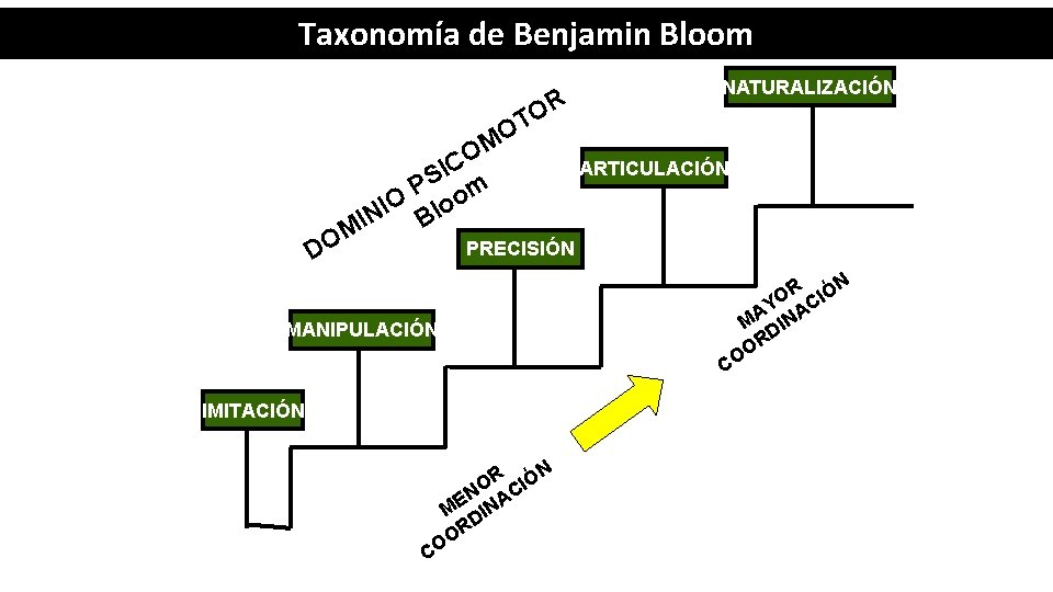 Taxonomía de Benjamin Bloom R O T O M O IC S P om
