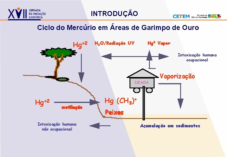 INTRODUÇÃO Ciclo do Mercúrio em Áreas de Garimpo de Ouro Hg+2 H 2 O/Radiação