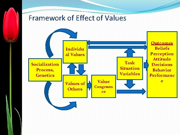 Framework of Effect of Values Individu al Values Task Situation Variables Socialization Process, Genetics