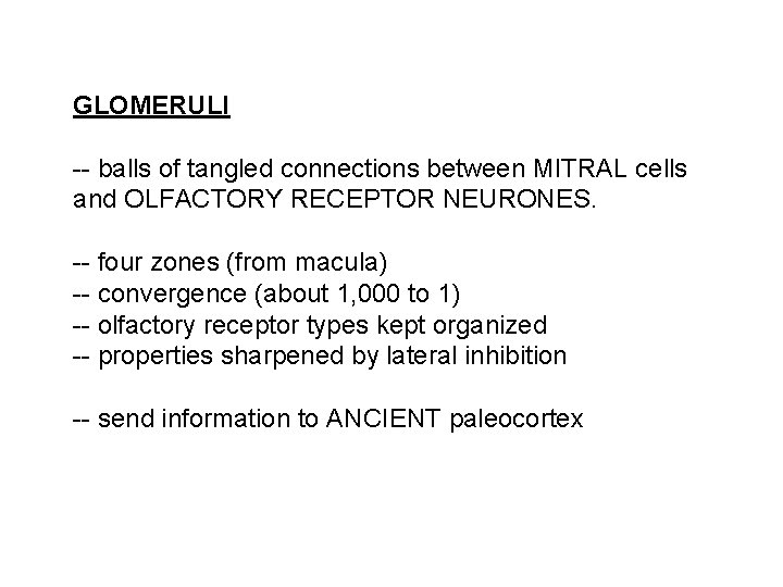 GLOMERULI -- balls of tangled connections between MITRAL cells and OLFACTORY RECEPTOR NEURONES. --