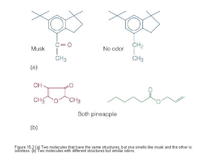 Figure 15. 2 (a) Two molecules that have the same structures, but one smells