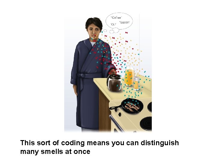 This sort of coding means you can distinguish many smells at once 