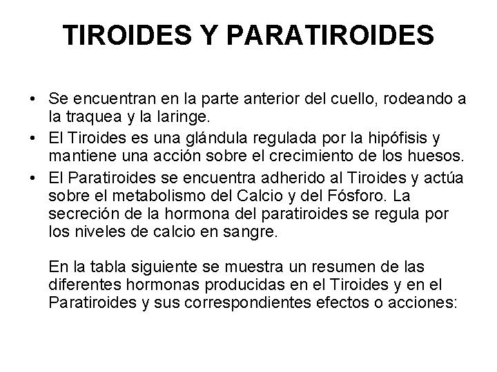 TIROIDES Y PARATIROIDES • Se encuentran en la parte anterior del cuello, rodeando a