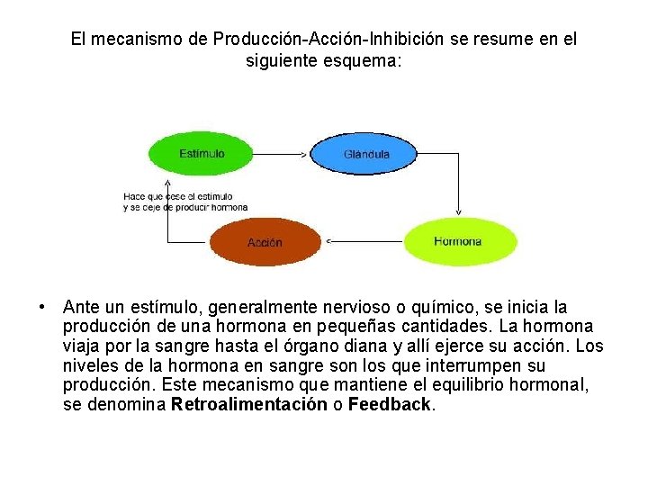 El mecanismo de Producción-Acción-Inhibición se resume en el siguiente esquema: • Ante un estímulo,