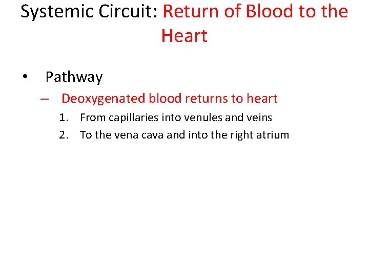 Systemic Circuit: Return of Blood to the Heart • Pathway – Deoxygenated blood returns Systemic Circuit: Return of Blood to the Heart • Pathway – Deoxygenated blood returns