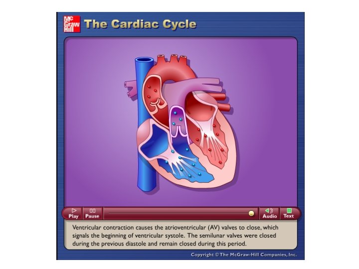 Please note that due to differing operating systems, some animations will not appear until Please note that due to differing operating systems, some animations will not appear until