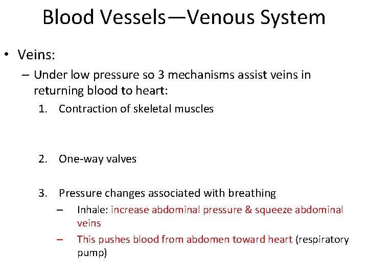 Blood Vessels—Venous System • Veins: – Under low pressure so 3 mechanisms assist veins Blood Vessels—Venous System • Veins: – Under low pressure so 3 mechanisms assist veins
