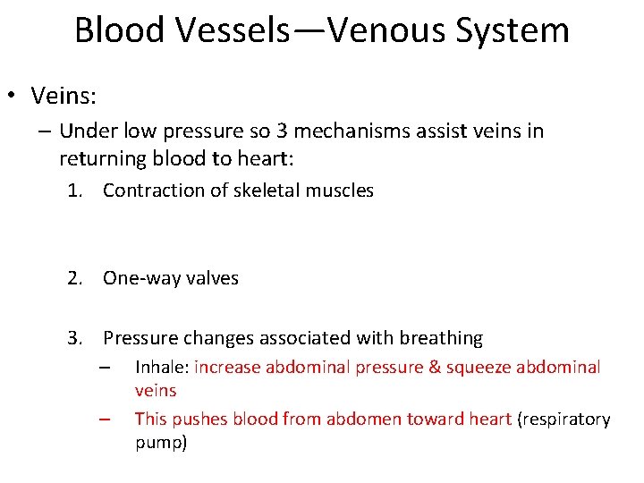 Blood Vessels—Venous System • Veins: – Under low pressure so 3 mechanisms assist veins