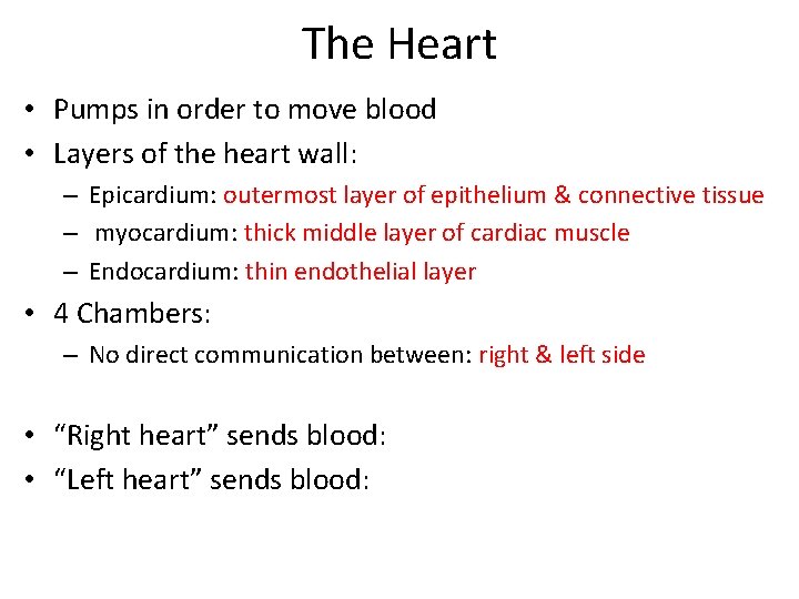 The Heart • Pumps in order to move blood • Layers of the heart