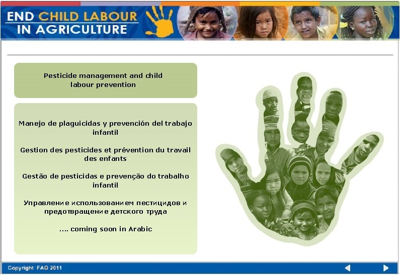 Pesticide management and child labour prevention Manejo de plaguicidas y prevención del trabajo infantil