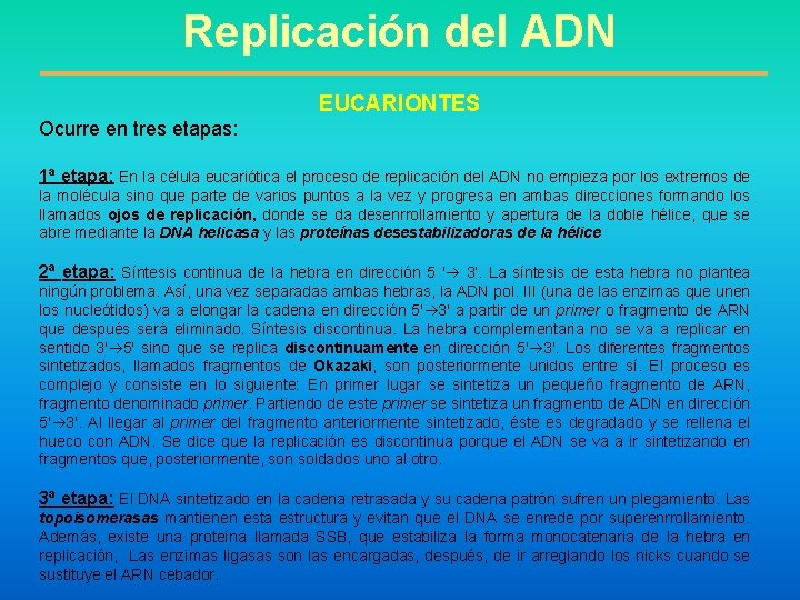 Replicación del ADN EUCARIONTES Ocurre en tres etapas: 1ª etapa: En la célula eucariótica