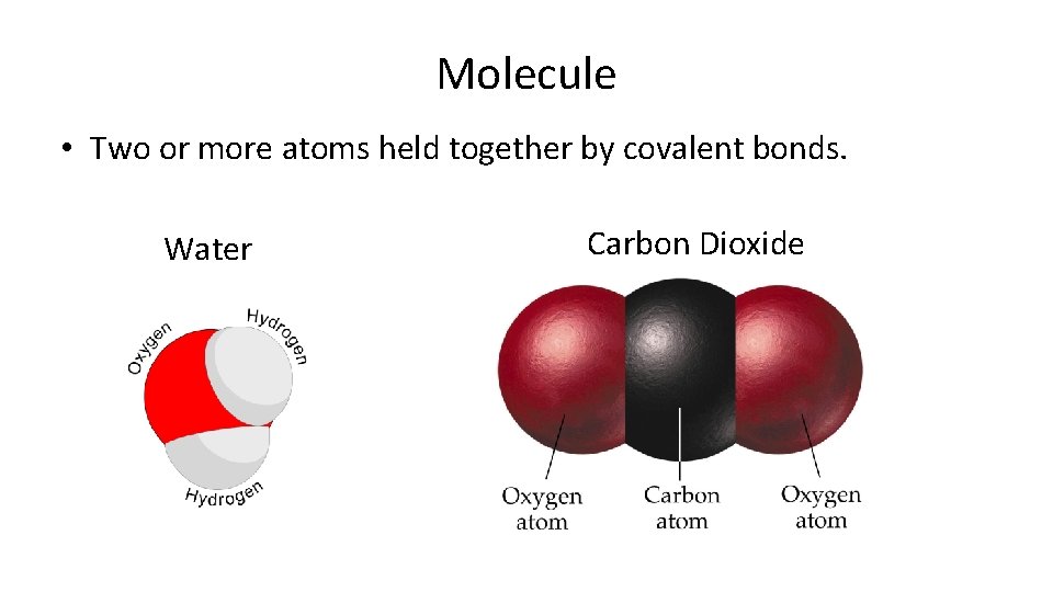 Molecule • Two or more atoms held together by covalent bonds. Water Carbon Dioxide