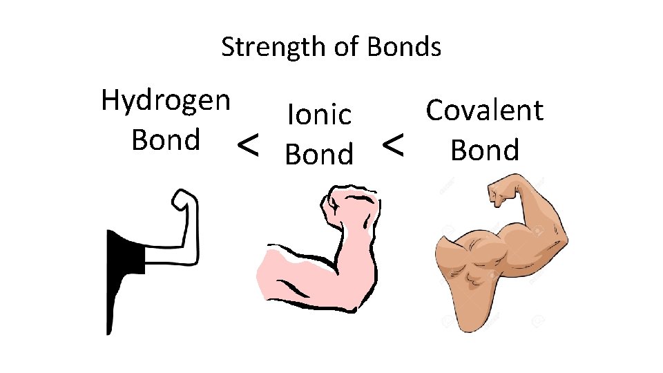 Strength of Bonds Hydrogen Ionic Bond < Covalent Bond 