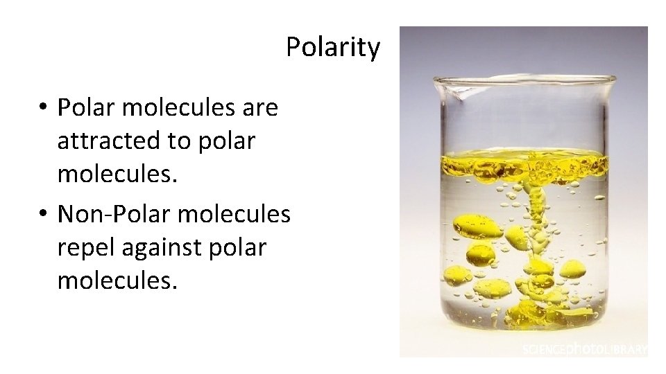 Polarity • Polar molecules are attracted to polar molecules. • Non-Polar molecules repel against