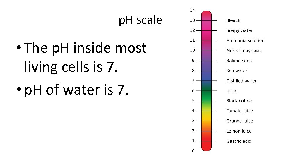 p. H scale • The p. H inside most living cells is 7. •