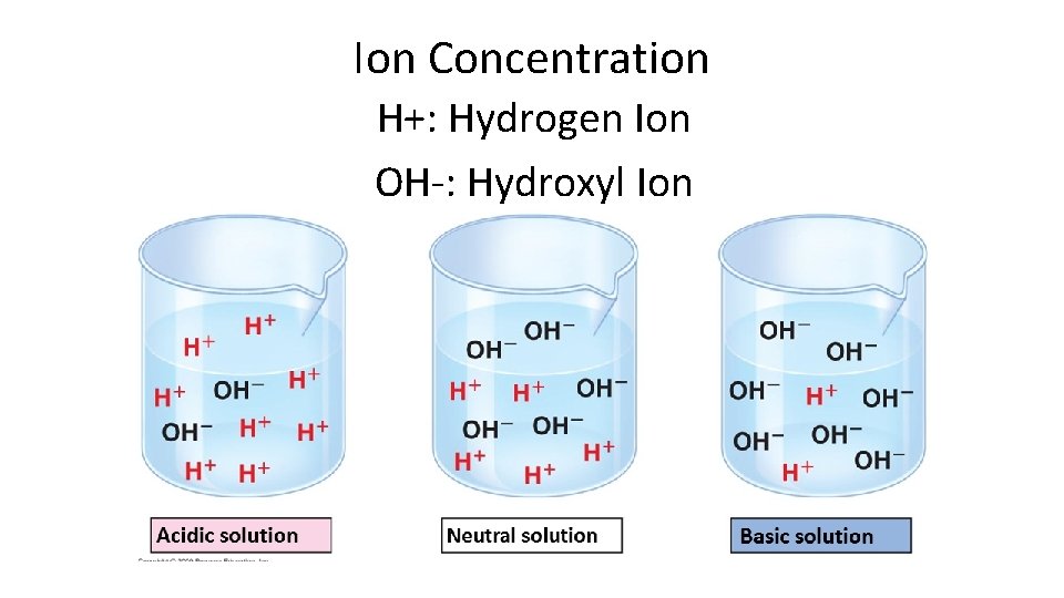 Ion Concentration H+: Hydrogen Ion OH-: Hydroxyl Ion 