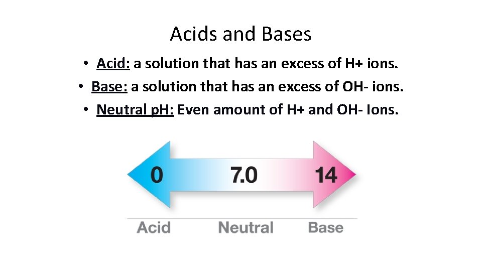 Acids and Bases • Acid: a solution that has an excess of H+ ions.