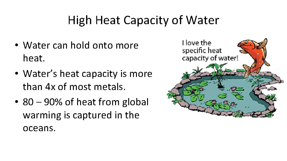 High Heat Capacity of Water • Water can hold onto more heat. • Water’s