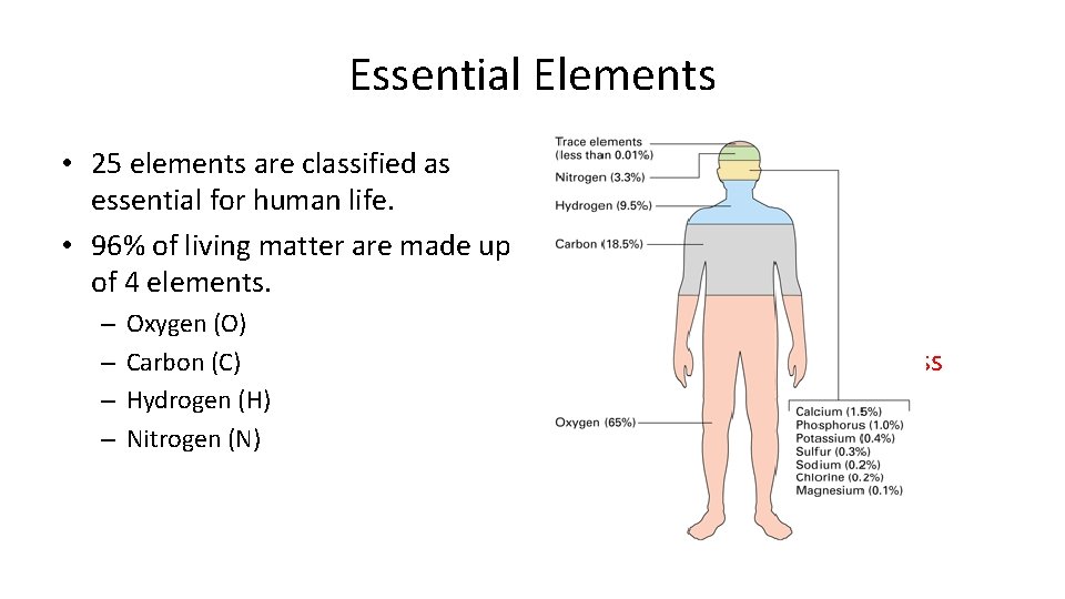Essential Elements Why is oxygen the most abundant? • 25 elements are classified as