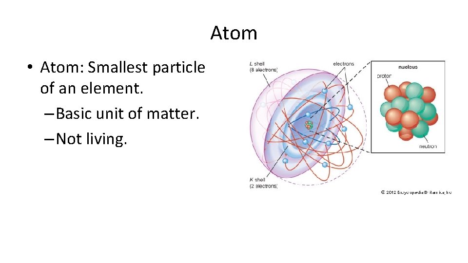 Atom • Atom: Smallest particle of an element. – Basic unit of matter. –