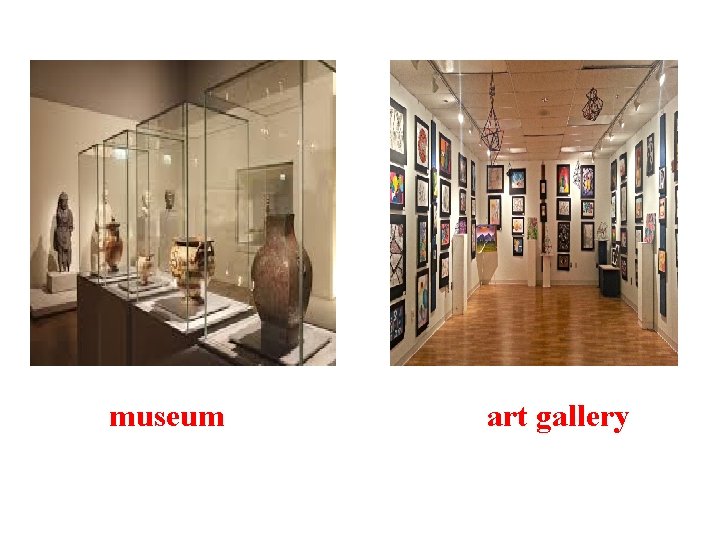 museum art gallery museum art gallery