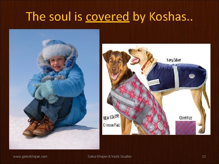 The soul is covered by Koshas. . www. gokulbhajan. com Gokul Bhajan & Vedic The soul is covered by Koshas. . www. gokulbhajan. com Gokul Bhajan & Vedic