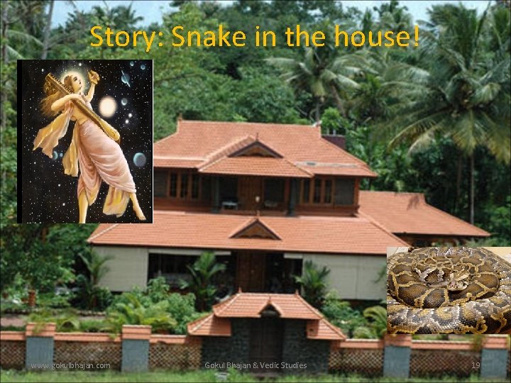 Story: Snake in the house! www. gokulbhajan. com Gokul Bhajan & Vedic Studies 19 Story: Snake in the house! www. gokulbhajan. com Gokul Bhajan & Vedic Studies 19