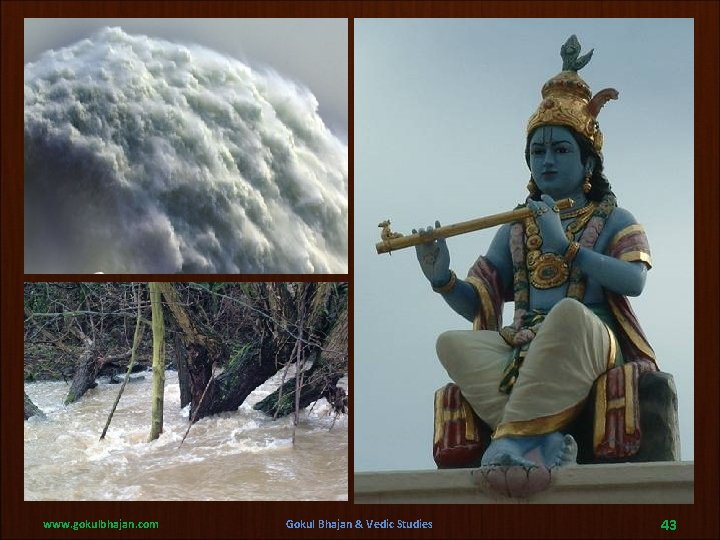 www. gokulbhajan. com Gokul Bhajan & Vedic Studies 43 www. gokulbhajan. com Gokul Bhajan & Vedic Studies 43