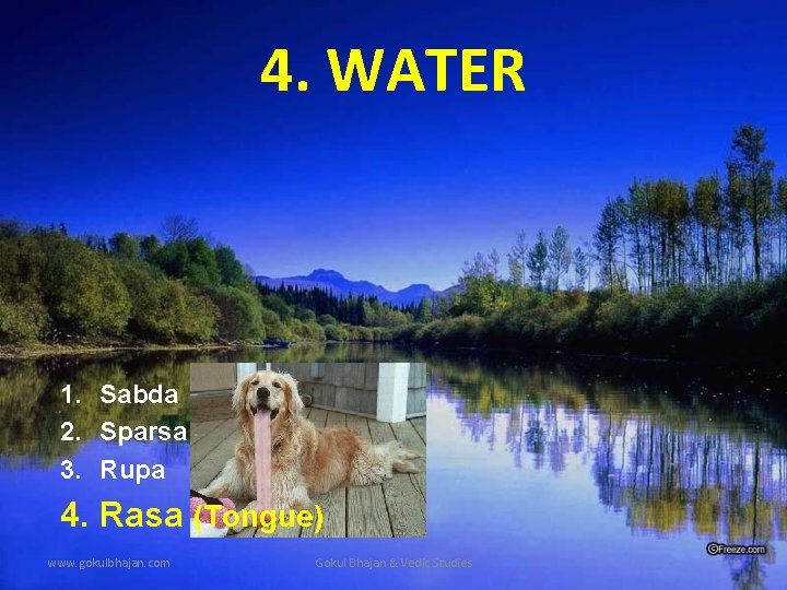 4. WATER 1. Sabda 2. Sparsa 3. Rupa 4. Rasa (Tongue) www. gokulbhajan. com 4. WATER 1. Sabda 2. Sparsa 3. Rupa 4. Rasa (Tongue) www. gokulbhajan. com