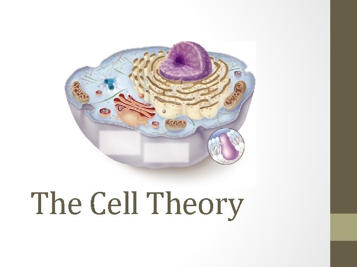 The Cell Theory 