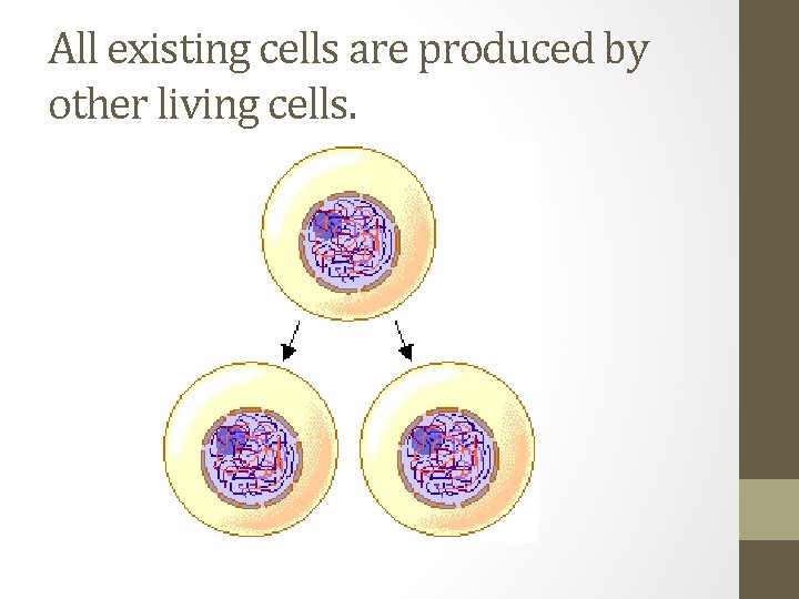 All existing cells are produced by other living cells. 