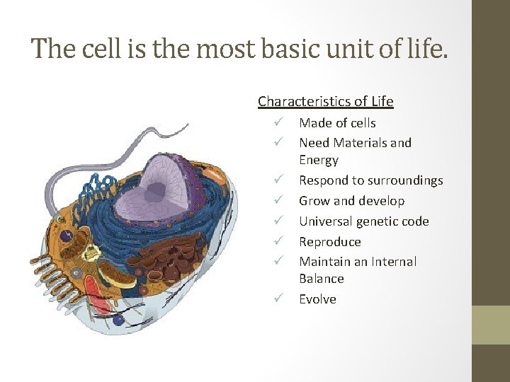 The cell is the most basic unit of life. Characteristics of Life ü Made