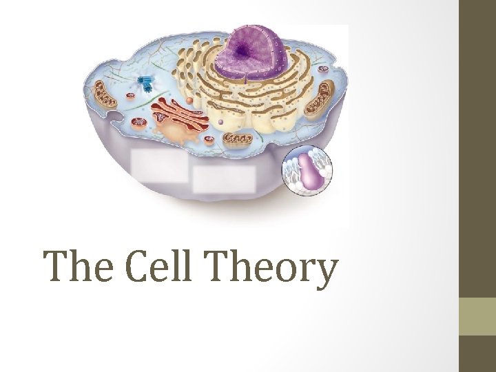 The Cell Theory 