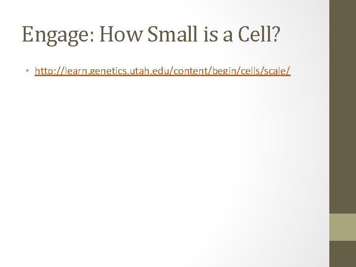 Engage: How Small is a Cell? • http: //learn. genetics. utah. edu/content/begin/cells/scale/ 