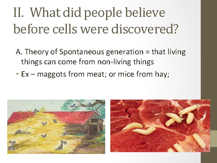II. What did people believe before cells were discovered? A. Theory of Spontaneous generation
